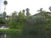 Resort5