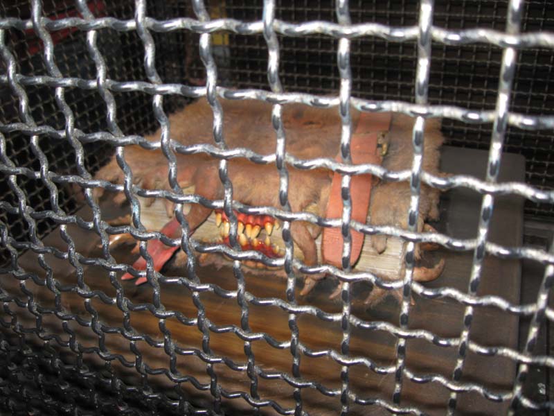 MonsterBookofMonsters