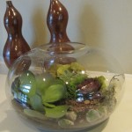 One of many terrariums in the Sheraton Seattle